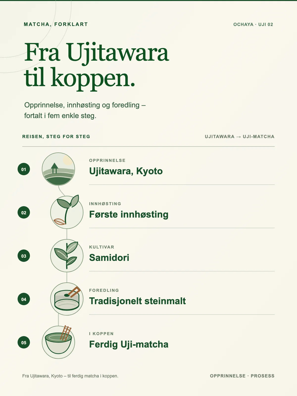 Fem trinn fra Ujitawara og første innhøsting til ferdig Uji-matcha